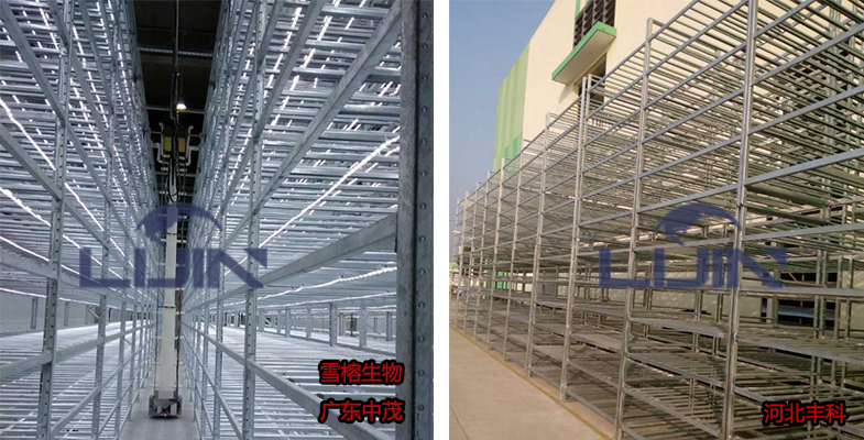 1565774816731833.jpg 圖1.jpg